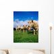 Cattle, Charolais Wall Mural