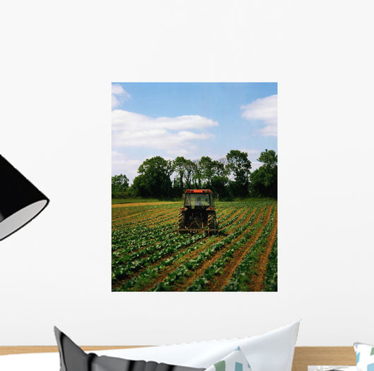 Weeding A Cabbage Field, Ireland Wall Mural