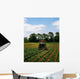Weeding A Cabbage Field, Ireland Wall Mural