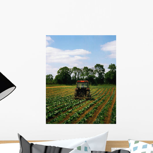 Weeding A Cabbage Field, Ireland Wall Mural