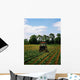 Weeding A Cabbage Field, Ireland Wall Mural