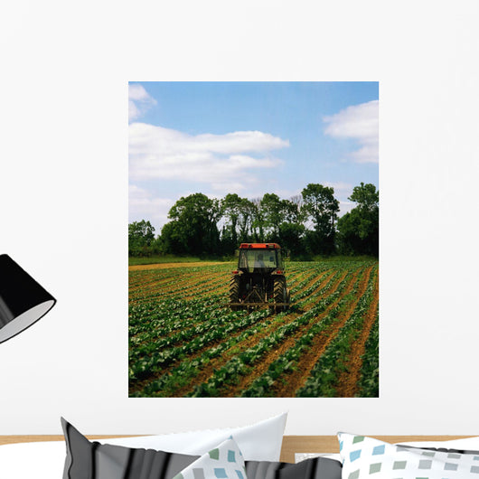 Weeding A Cabbage Field, Ireland Wall Mural