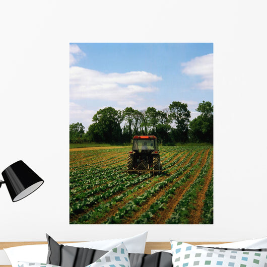 Weeding A Cabbage Field, Ireland Wall Mural