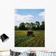 Weeding A Cabbage Field, Ireland Wall Mural