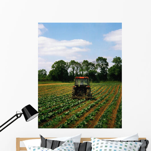 Weeding A Cabbage Field, Ireland Wall Mural