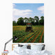 Weeding A Cabbage Field, Ireland Wall Mural