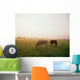 Hereford Cattle, Ireland Wall Mural