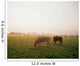 Hereford Cattle, Ireland Wall Mural