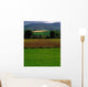 Sugar Beet Wall Mural
