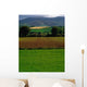 Sugar Beet Wall Mural