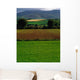 Sugar Beet Wall Mural