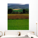 Sugar Beet Wall Mural