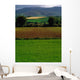 Sugar Beet Wall Mural