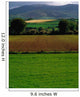 Sugar Beet Wall Mural