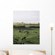 Friesian Bullocks, Ireland Wall Mural