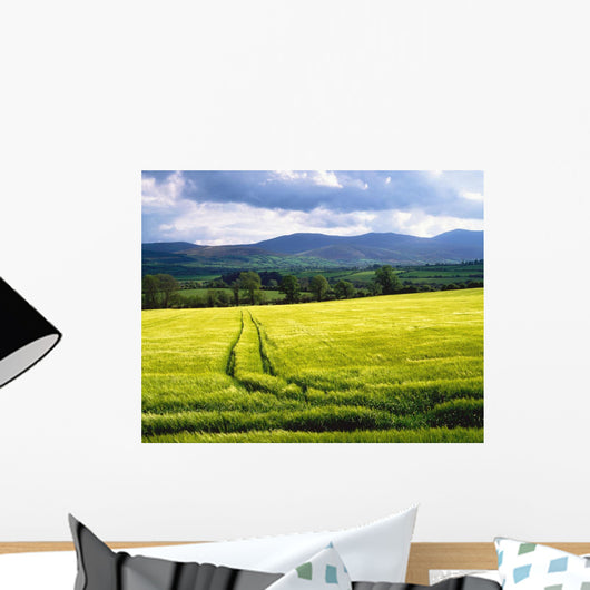 Barley Wall Mural