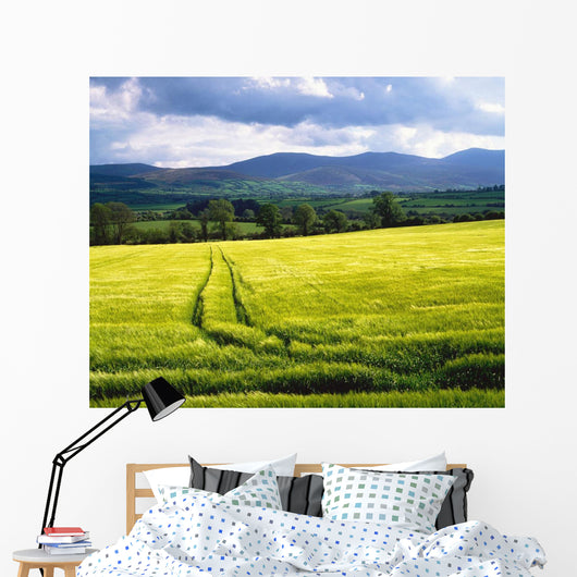 Barley Wall Mural