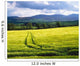 Barley Wall Mural