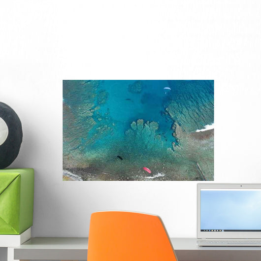 Corals Saint Leu Wall Decal