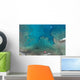 Corals Saint Leu Wall Decal