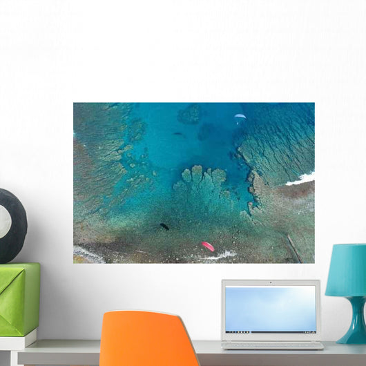 Corals Saint Leu Wall Decal