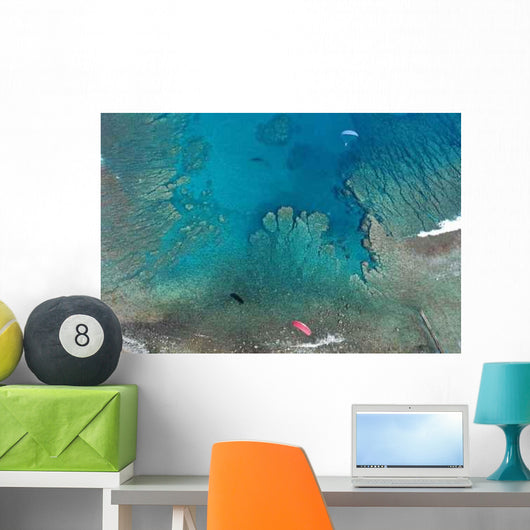 Corals Saint Leu Wall Decal