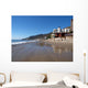 Topanga Homes Wall Mural