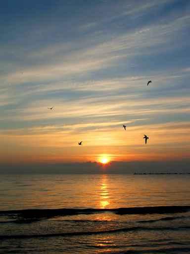 Sunrise Wall Decal Design 1