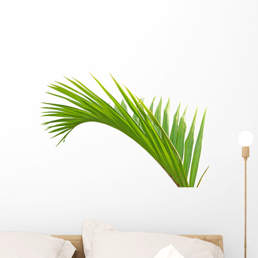 Palme Verte Fond Blanc Wall Mural