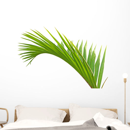 Palme Verte Fond Blanc Wall Mural