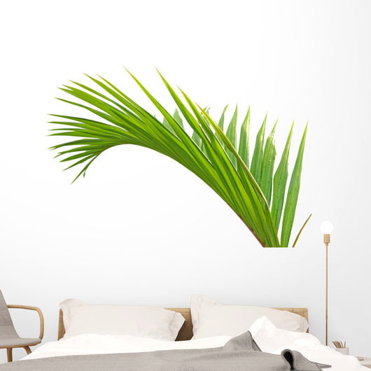 Palme Verte Fond Blanc Wall Mural