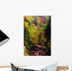 Small Stream Through Forest In Autumn Wall Mural