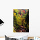 Small Stream Through Forest In Autumn Wall Mural