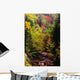 Small Stream Through Forest In Autumn Wall Mural