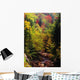 Small Stream Through Forest In Autumn Wall Mural