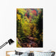 Small Stream Through Forest In Autumn Wall Mural
