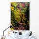 Small Stream Through Forest In Autumn Wall Mural