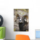 Rocky Mountain Bighorn Sheep Wall Mural
