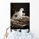 Many Hands Holding A Dove Wall Mural