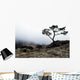 Silhouette Of Tree In Mist Wall Mural