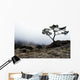 Silhouette Of Tree In Mist Wall Mural
