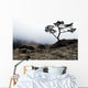 Silhouette Of Tree In Mist Wall Mural