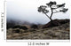 Silhouette Of Tree In Mist Wall Mural
