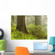Forest along Damnation Creek Wall Decal