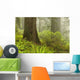 Forest along Damnation Creek Wall Decal