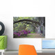 Live Oaks and Colorful Wall Decal Design 1