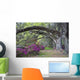 Live Oaks and Colorful Wall Decal Design 1