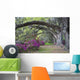 Live Oaks and Colorful Wall Decal Design 1