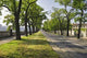 Podgorska Street Runs along Wall Decal