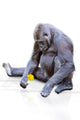 Gorilla wd284 Wall Decal